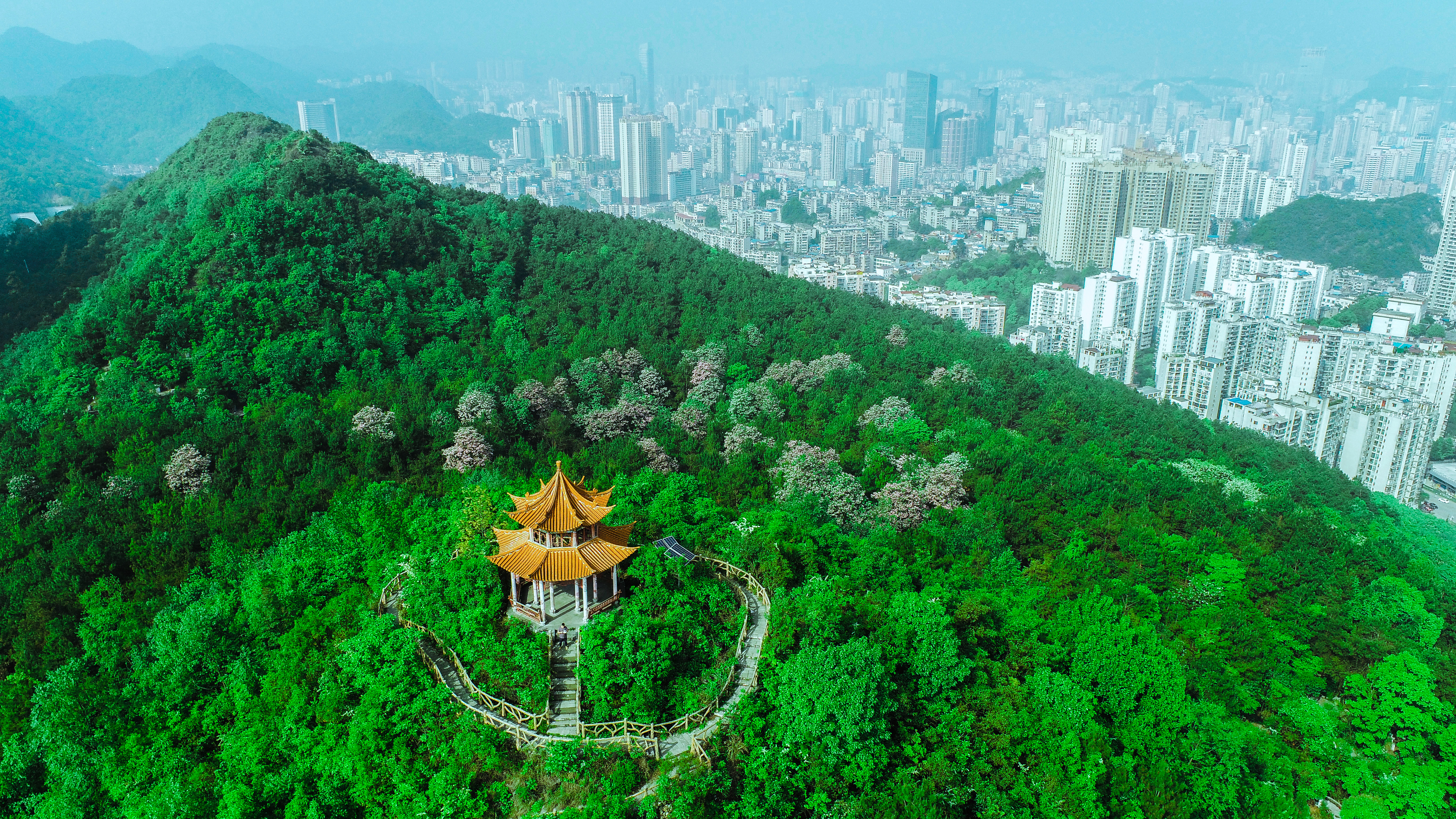 南明区兰花坡森林公园.jpg