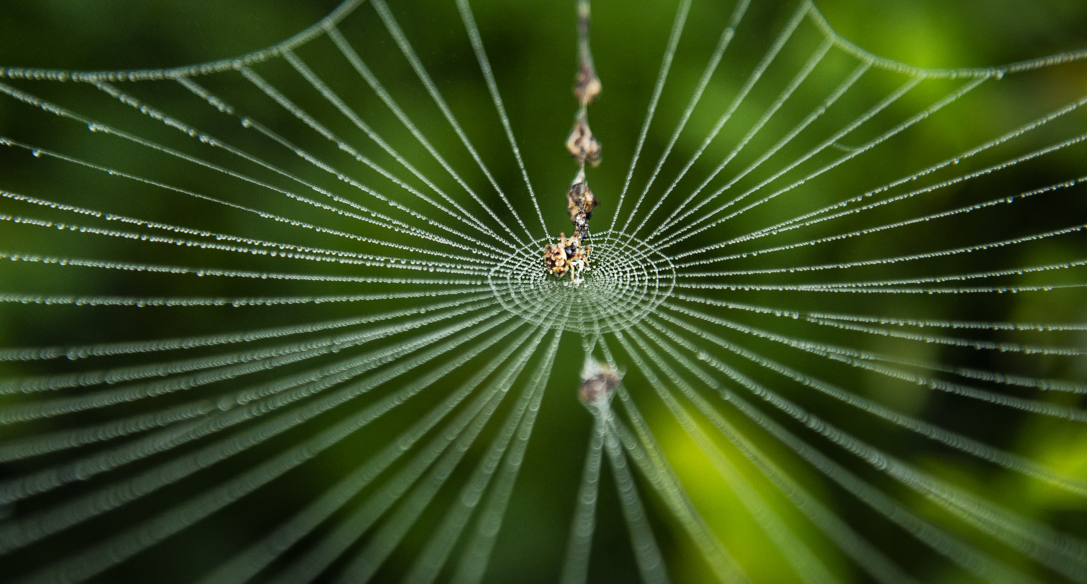 《织牢防护网》摄影:黄安兴